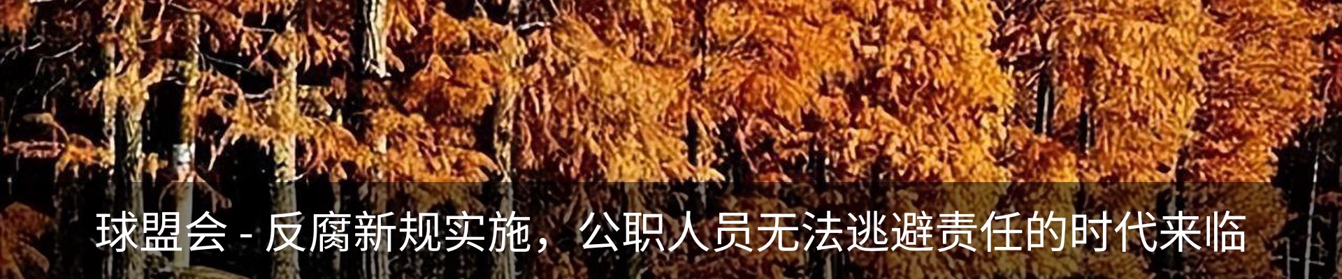 最新动态